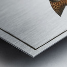 River-Salmon Salmo Hucho Metal print