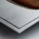 Pleuronectes bilineatus Metal print