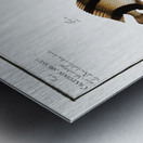 1. Chaetodon Pavo 2. Chaetodon aruanus Metal print