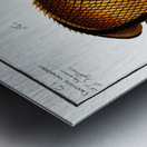 1. Chaetodon Argus 2. Chaetodon vagabundus Metal print