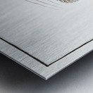 Scorpaena antennata Metal print