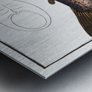 Trut Salmo Trutta Metal print