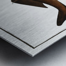 Centrina Squalus Centrina Metal print