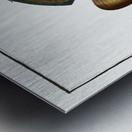 Chaetodon fasciatus Metal print