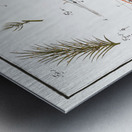 Fish hatching and growing Metal print