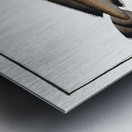 Ling Gadus Molva Metal print