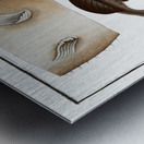 Sea Devil Lophius Piscatorius Metal print