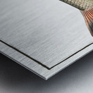 Barbel Cyprinus Barbus Metal print