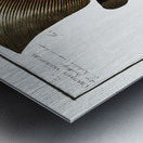 1. Chaetodon Teira 2. Chaetodon Vespertilio Metal print