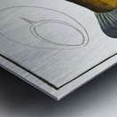 Tench Cypirnus Tinca Metal print