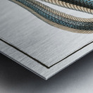 Macrourus rupestris Metal print