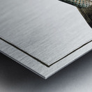 Great-Maræna Salmo Maræna Metal print