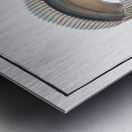 Sword-Fish Trichiurus Lepturus Metal print