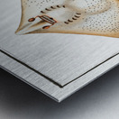 Skate Raja Batis Metal print