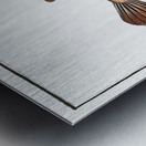 Spenglers Tetrodon Tetrodon Spengleri Impression metal