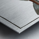 Hadock Gadus Aeglefinus Metal print