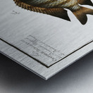 1. Chaetodon Mauritii 2. Chaetodon Bengalensis Metal print