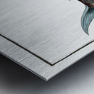 Sword Fish Xiphias Gladius Metal print