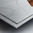 Trunck-fish Ostracion Triqueter Metal print