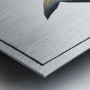 Stromateus Paru Metal print