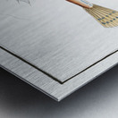 Gemmeous Dragonet Callionymus Lyra Metal print