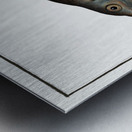 Buggenhagens-Carp Cyprinus Buggenhagii Metal print