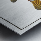 Triangular-fish Ostracion Tricornus Metal print