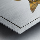 Yellow-fin Lutianus luteus Impression metal