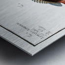 1. Goldsinny Lutjanus Rupestris 2. Saddle Lutjanus Ephippium Impression metal