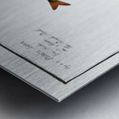 1. 2. Rough Perch Perca Asper 3. Blue Goby Gobius Jozo Metal print