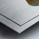 Square-Fish Ostracion cubicus Metal print