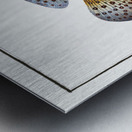 Jen-fish Bodianus guttatus Metal print