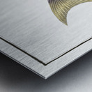 Sparus tetracanthus Metal print