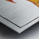 Bodian Bodianus Bodianus Metal print