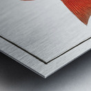 Dogs-tooth Sparus Cynodon Metal print