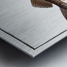 Dorsh Gadus Callarias Metal print