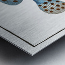 Argus Anthias Argus Metal print