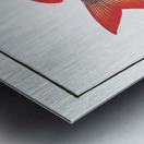 Cackerel Sparus Maena Metal print