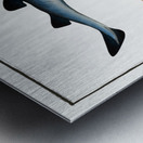 Saw-Fish Embrio Squali Pristis Metal print