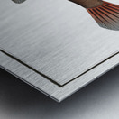 Knitted Trunk-Fish Ostracion Concatenatus Impression metal