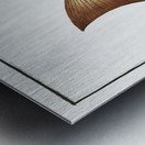 Streaked Wall-eye Epinephelus striatus Metal print