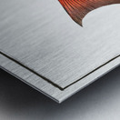 Lutian Lutianus Lutianus Metal print