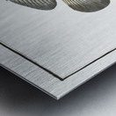 Chaetodon suratensis Metal print