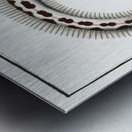 Muraena Ophis Metal print