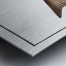 Great-scaled Bodian Bodianus macrolepidotus Metal print