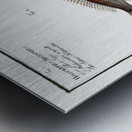 1. Streaked Holocentre Hoocentrus striatus 2. Silver-Holocentre Holocentrus Argentinus Metal print