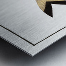 Chinese Herring Clupea sinensis Metal print