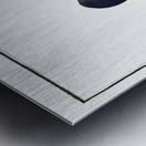 Boenack Bodianus Boenack Metal print