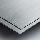 Tope or Pope Squalus Galeus Metal print