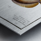 1. Chinese Chetodon Chaetodon Chinensis 2. Kleins Chetodon Chaetodon Kleinii Metal print